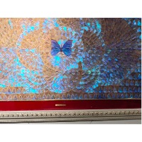 用户_2008